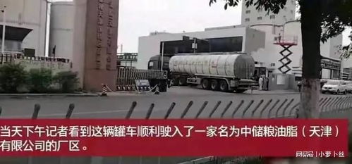 运输煤制油的油罐车行车轨迹曝光,装上食用油后到过食用油厂